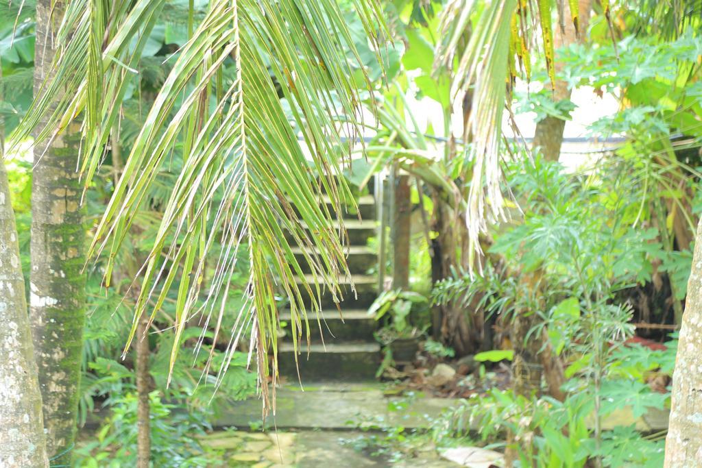 Osanda Guest Bentota Exterior foto